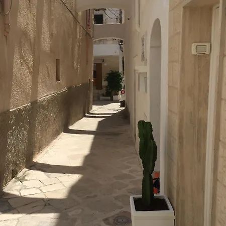 Palazzo Fiscaiolo Casa de hóspedes